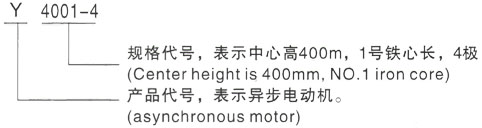 西安泰富西玛Y系列(H355-1000)高压YJTG-132S-6A/3KW三相异步电机型号说明