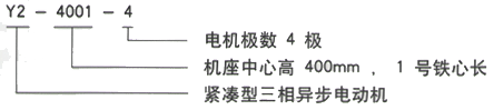 YR系列(H355-1000)高压YJTG-132S-6A/3KW三相异步电机西安西玛电机型号说明